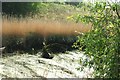 View of a boat wreck in Hand Trough Creek