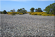 NJ3165 : Sea of Stones by Anne Burgess