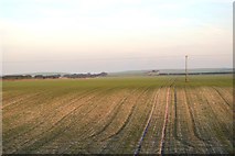 TA1573 : Large arable field by N Chadwick