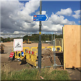 SP3165 : Direction sign opposite pedestrian crossing, Old Warwick Road, Leamington by Robin Stott