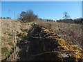 Dry-stone wall