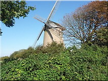 SZ6387 : Bembridge Windmill by Chris Gunns