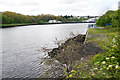 The River Tyne at St Anthony