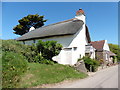 Thatched cottage on Georgeham Road