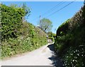 Narrow lane, Darracott