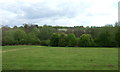 Grazing and woodland near Nine Oaks