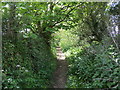 SW5431 : Woodland Footpath from St Hilary to Trevabyn by Peter Wood