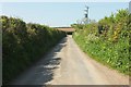 Lane from Yelland Cross