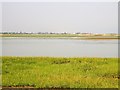 Pagham Harbour from Church Norton beach