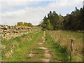 NY9669 : Hadrian's Wall Path by Graham Robson