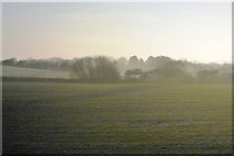 TA1179 : Farmland south of Filey by N Chadwick