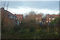 Houses, Minster Avenue