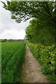 Footpath to Hillhouse Wood