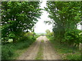 Bridleway east of Offley Grange