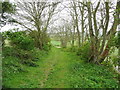 Bridleway east of Offley Grange