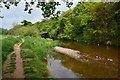 East Devon : River Otter