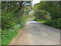 Road from Gweek to Brill near Carwythenack