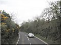 The Ballydugan Road Cutting at Cargagh