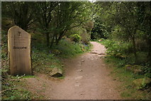 NX8354 : Start of the Jubilee path to Rockcliffe by Richard Sutcliffe