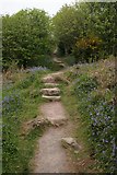NX8354 : Footpath leading to the Jubilee path by Richard Sutcliffe