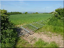 SO5569 : Fallen gate by Philip Halling