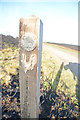 SY0387 : East Devon : Woodbury Common - Footpath Sign by Lewis Clarke
