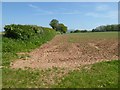 SO5371 : Arable field near Ashford Carbonell by Philip Halling