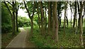 Path at Aylestone Holt in Glen Parva