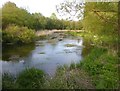 The Avon at Figheldean: view downstream