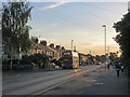 A May evening on Cherry Hinton Road