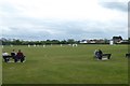 Saturday cricket