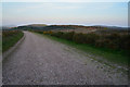 SY0386 : East Devon : Woodbury Common Footpath by Lewis Clarke