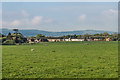 Towards Felton Farm