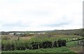 Wetlands between the A22 (Killyleagh Road) and the River Quoile