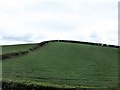 Hedged fields on a large drumlin above the Killyleagh Road