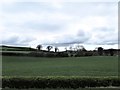 Drumlin country south of the Delmont Country Park