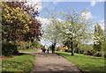 SJ4166 : Grosvenor Park, Chester by Jeff Buck