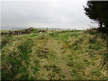 NO2004 : Path to West Feal farm, Lomond Hills by Bill Kasman