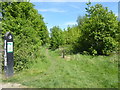 Path in Harold Court Woods