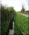 Rhyne below Chilton Moor Lane, Bridgwater