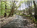 Stodham Lane looking downhill