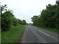 TF6503 : Main Road, Crimplesham by JThomas