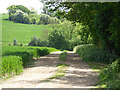 Farm track off Coleman Green Lane