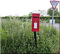 Queen Elizabeth II postbox surrounded by nettles,  Llanfair Kilgeddin, Monmouthshire