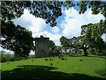 NS3458 : Barr Castle - Lochwinnoch by Raibeart MacAoidh