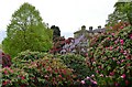 Riverhill Himalayan Garden: Looking towards the house from the Rose Walk