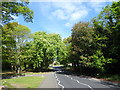 Seven Arches Road crossing Shenfield Common