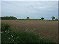 Field off Mill Lane near Carbrooke