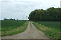 TF9700 : Farm track off Norwich Road (B1108), Scoulton by JThomas