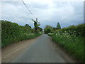 Pye Lane towards Deopham Green